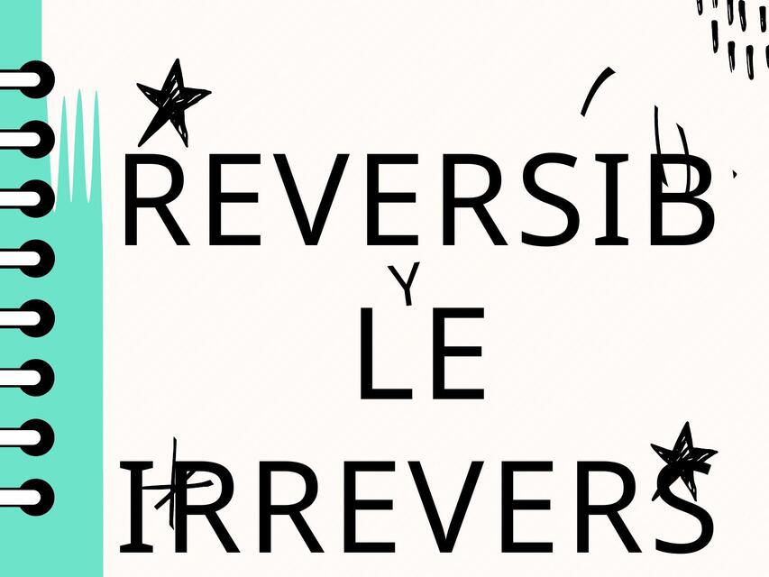 Reversible e Irreversible