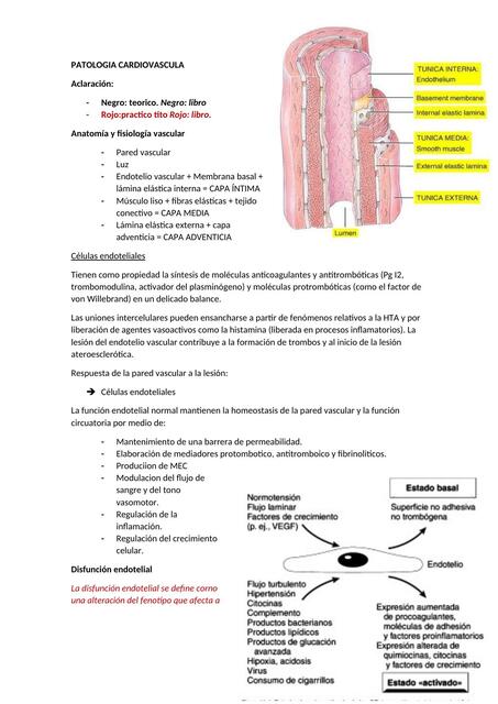 PATOLOGIA CARDIOVASCULAR