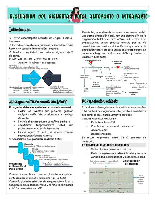 GOB EVALUACIÓN DEL BIENESTAR FETAL ANTEPARTO E