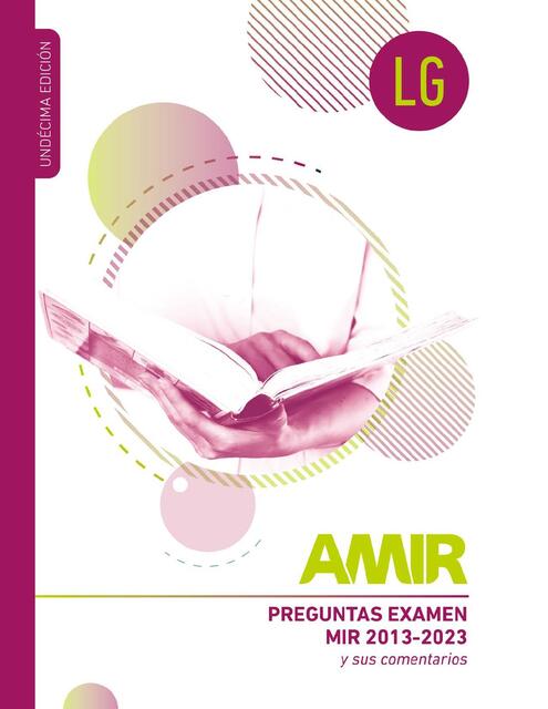 libro gordo amir