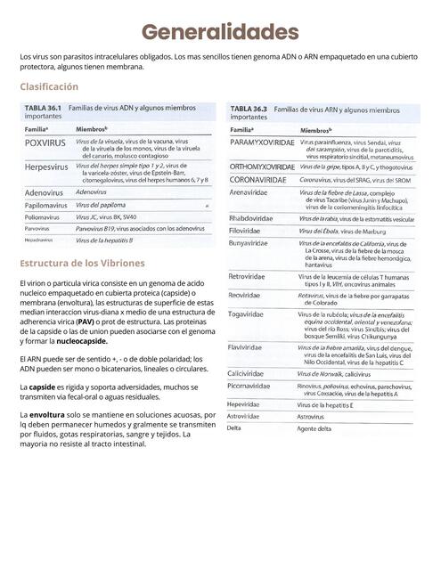 Polyovirus, Papilomavirus, Adenovirus e Herpes Virus. Bibliografia: Murray