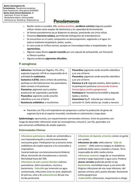 Bacterias. Bibliografia Murray