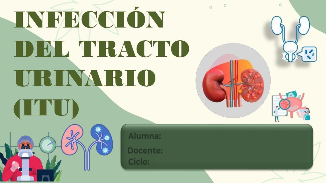 infeccion del tracto urinario