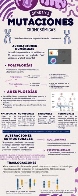 Mutaciones Cromosómicas