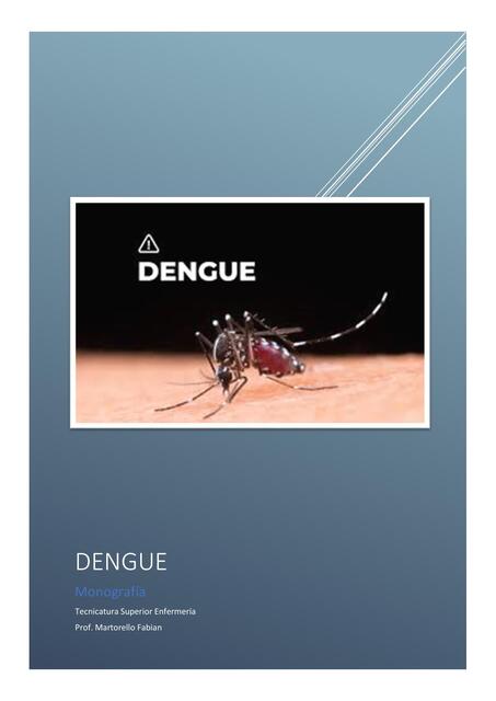 Monografía sobre el Dengue desde el Rol de Enferme