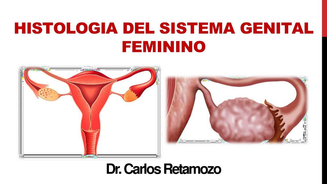 2 REPASO FEMININO convertido