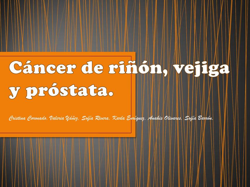 Cáncer de riñón vejiga y próstata