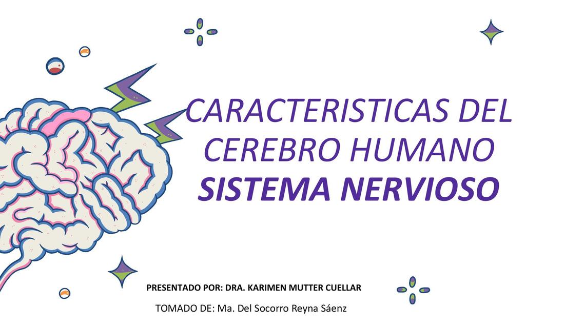 TEMA 3 1 SISTEMA NERVIOSO