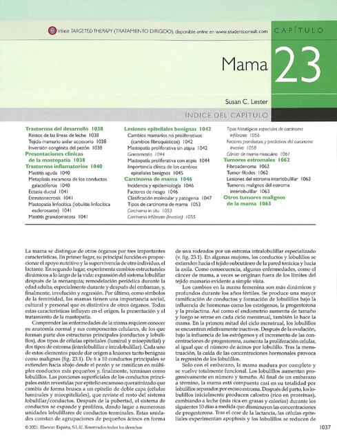 Patología Estructural y Funcional 10a Edición pdf