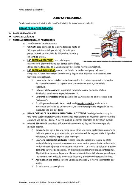 AORTA TORACICA cap 85