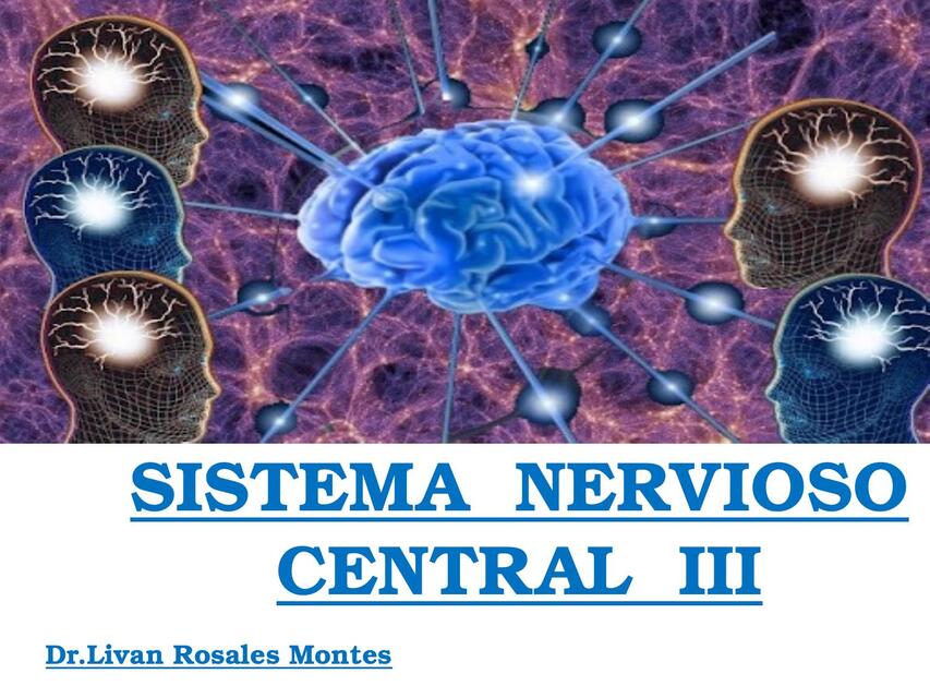 SISTEMA NERVIOSO CENTRAL III