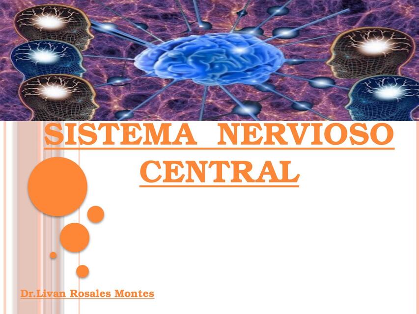 SISTEMA NERVIOSO CENTRAL