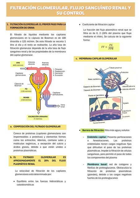 FILTRACIÓN GLOMERULAR