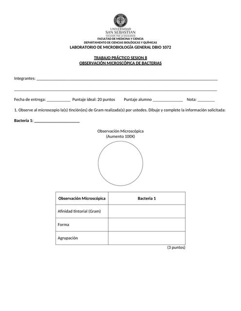 REPORTE SESIÓN 8 OBSERVACIÓN MICROSCÓPICA DBIO