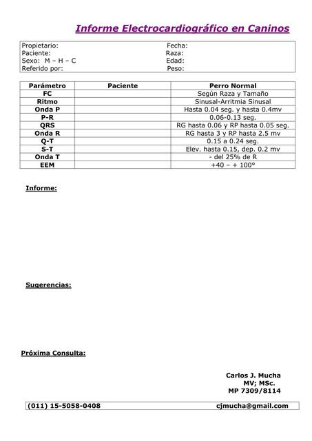 ECG PERROS