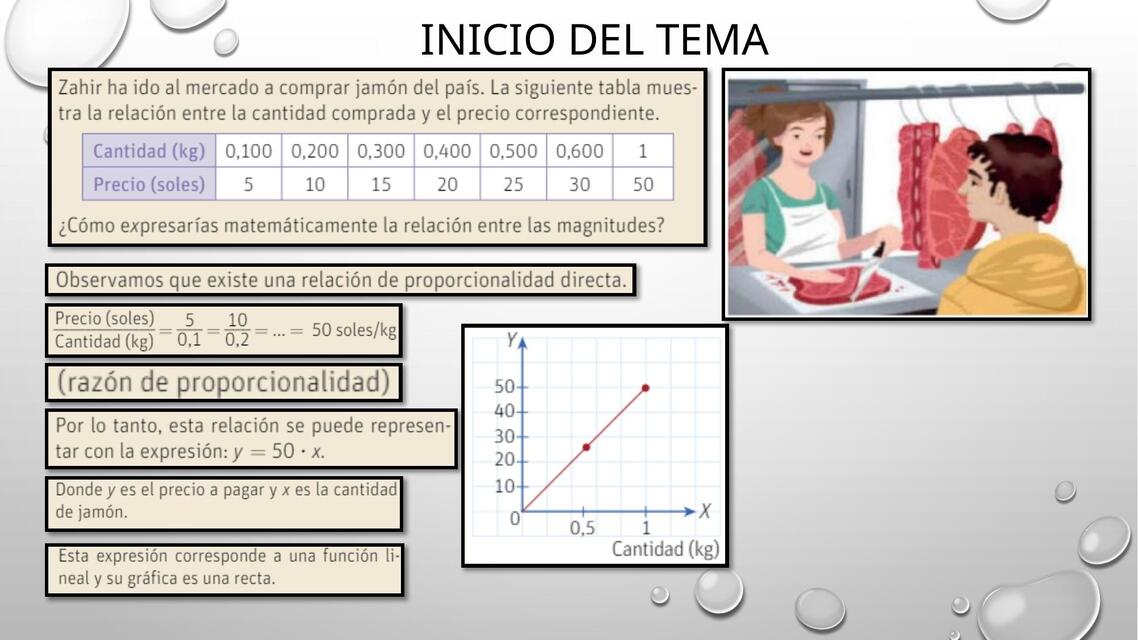 Inicio del tema