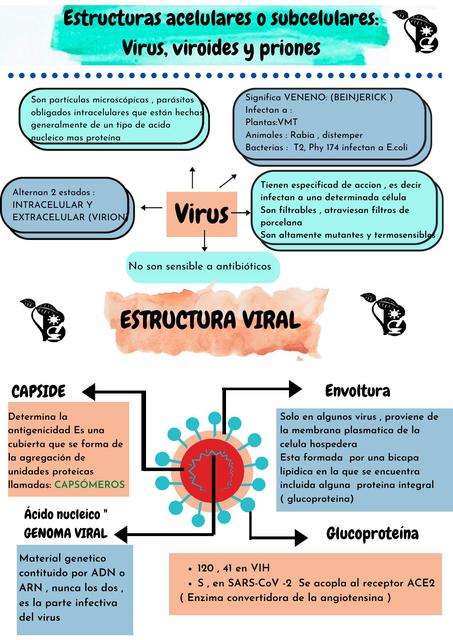 VIROLOGÍA