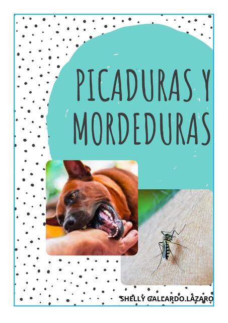 PICADURAS Y MORDEDURAS