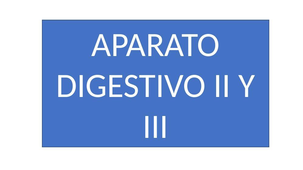 Aparato digestivo II Y III