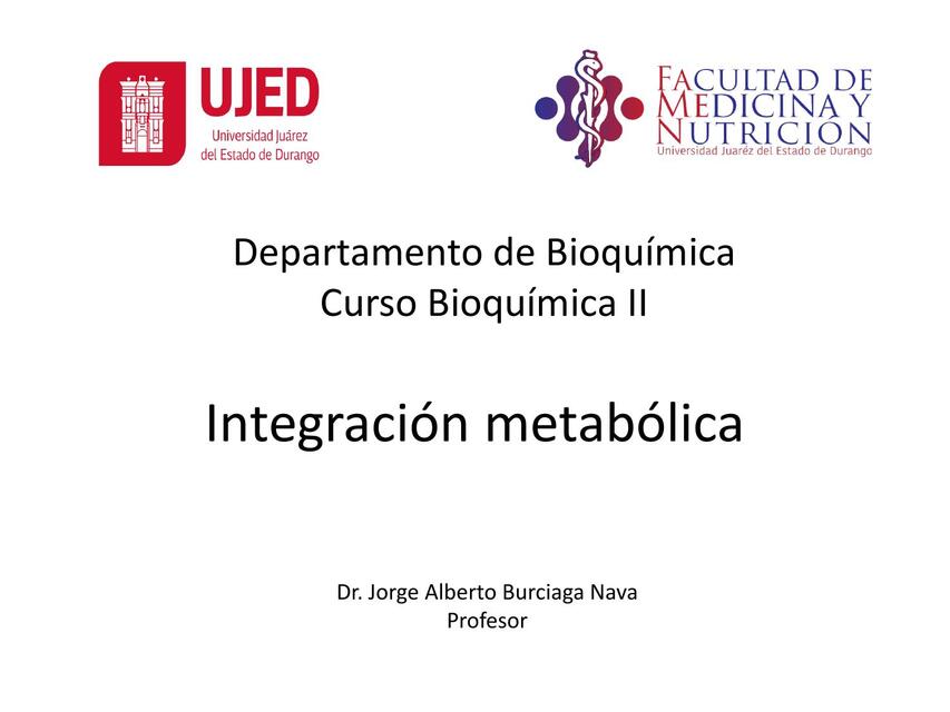 Integración metabólica