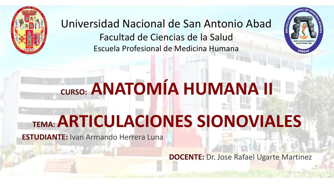 Articulaciones sinoviales expo