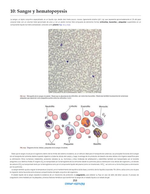 Texto de Histologia Atlas a Color Gartner 5a Edici