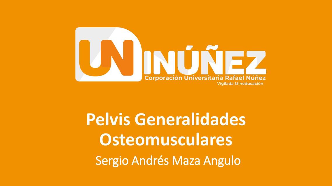 Pelvis Generalidades osteomusculares