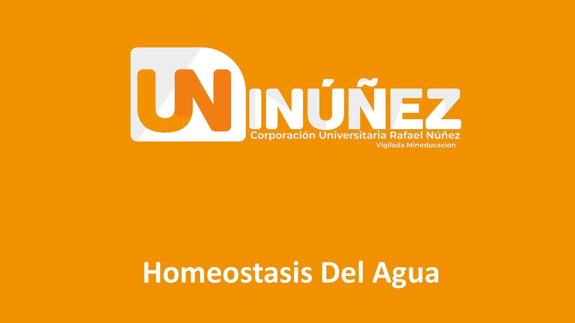 Homeostasis del agua Fisiologia