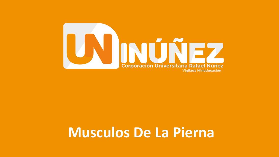 Musculos de la pierna