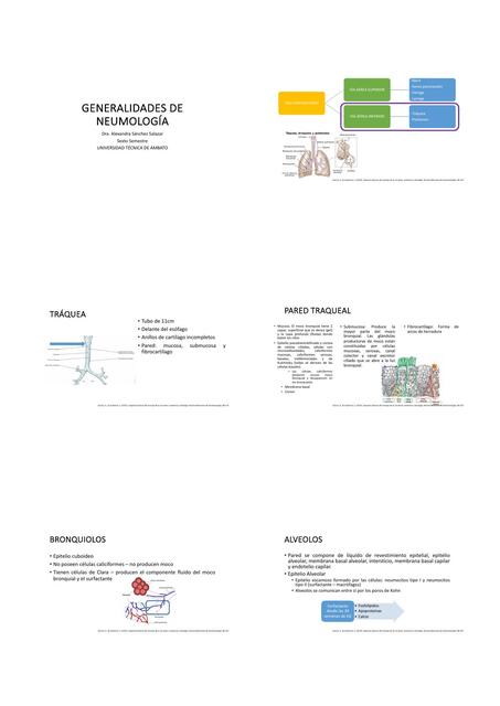 MEDICINA INTERNA I PRIMER PARCIAL