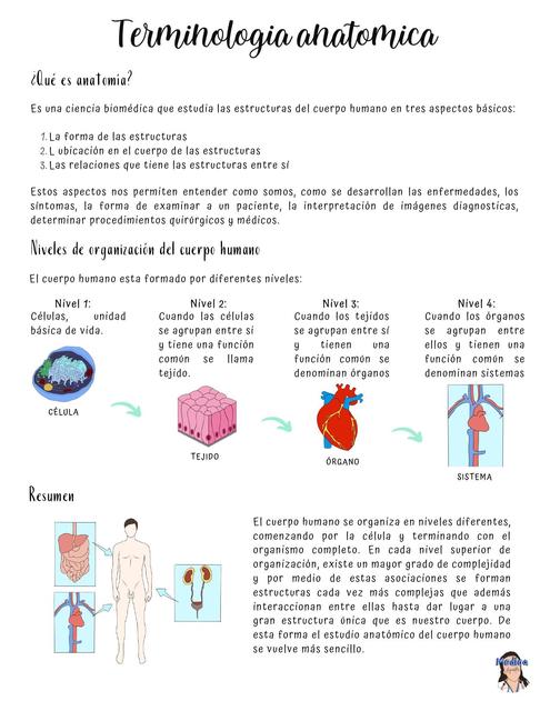 Terminos Anatomicos Que Es Anatomia Salud Anatomia Udocz