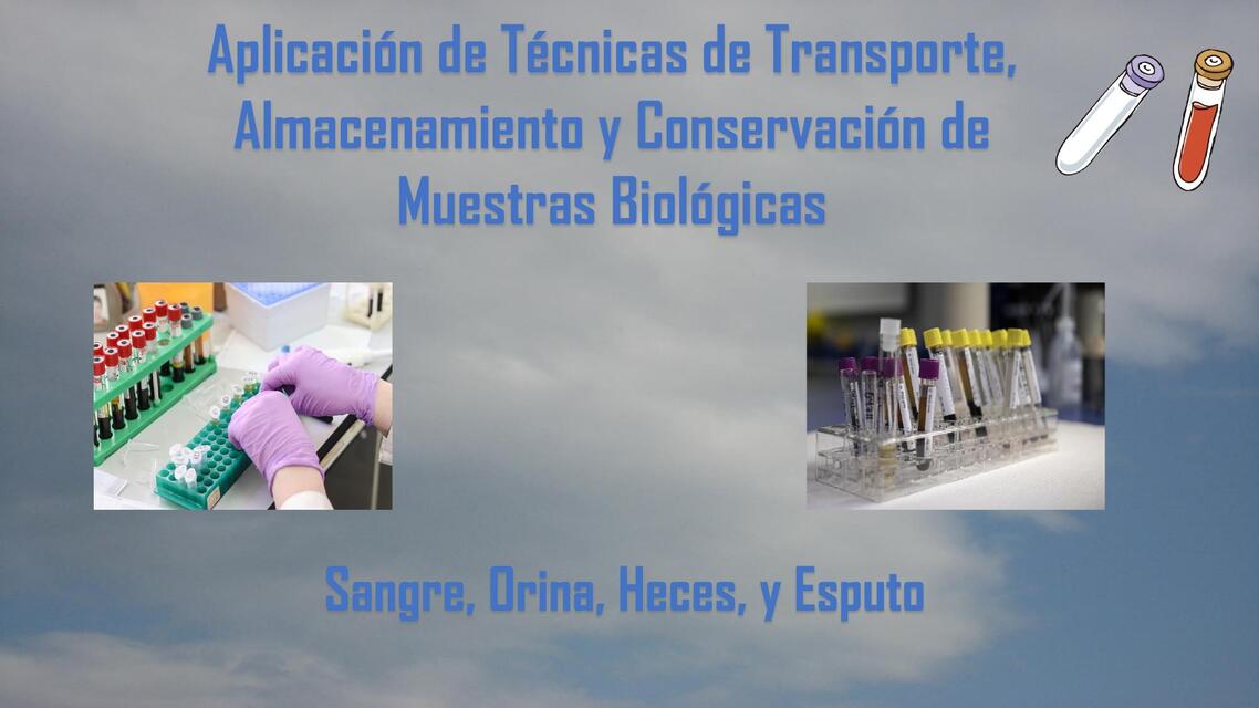 Aplicación de Técnicas de Transporte Almacenamient