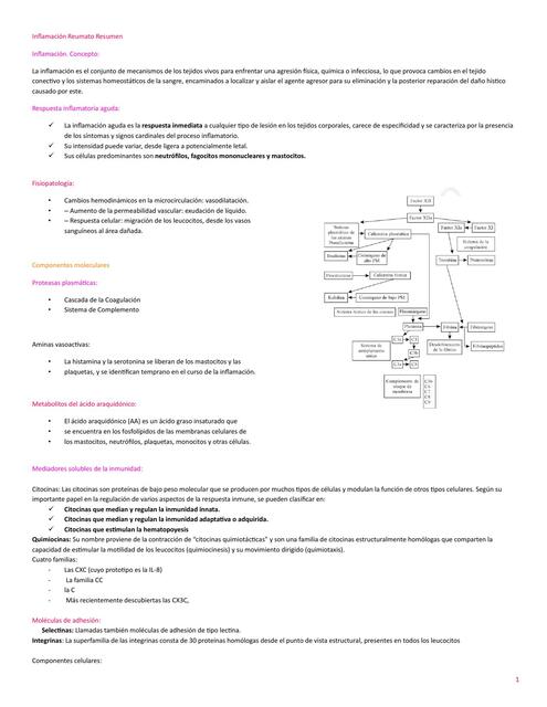 Inflamación Reumato Resumen