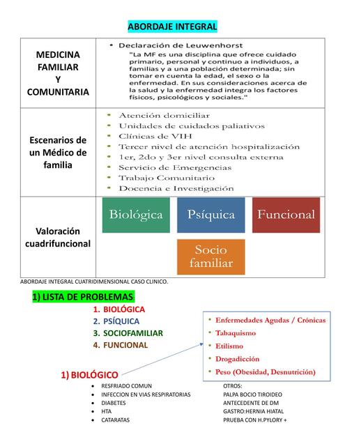 ABORDAJE INTEGRAL