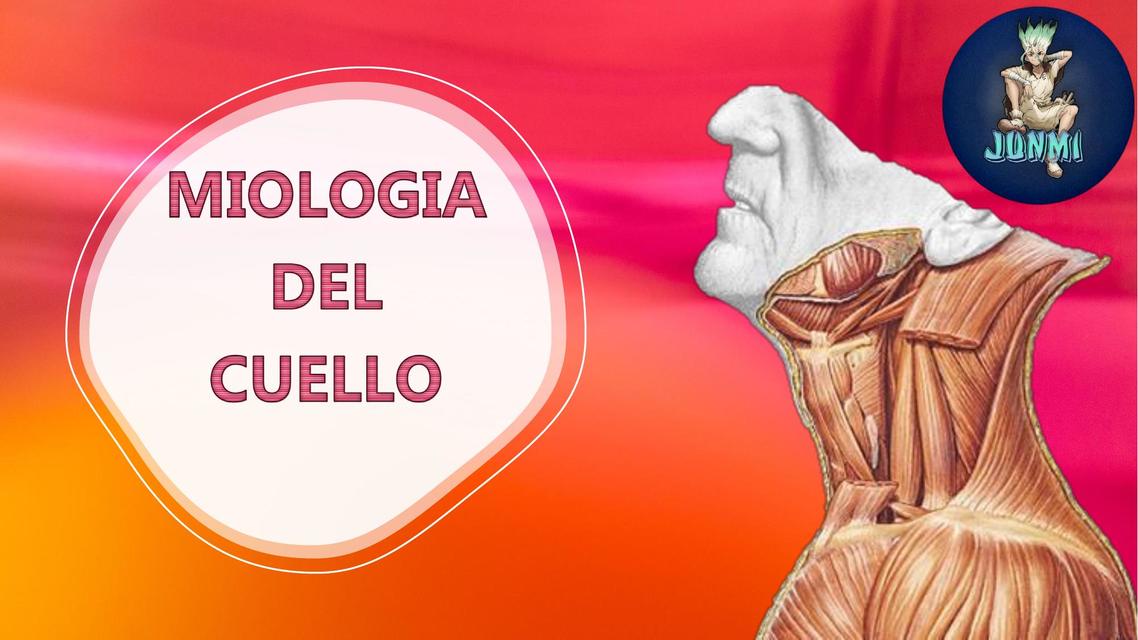 Miologia del Cuello