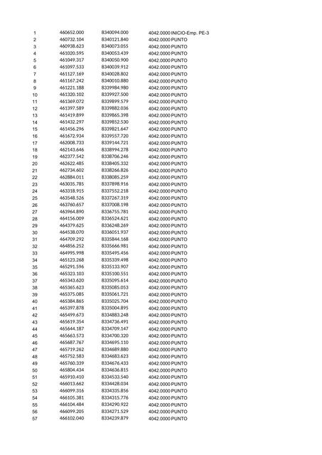 CORREGIDO PUNTOS TOPOGRAFICOS