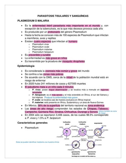 PARASITOSIS TISULARES Y SANGUÍNEAS