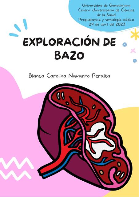 Exploración de bazo