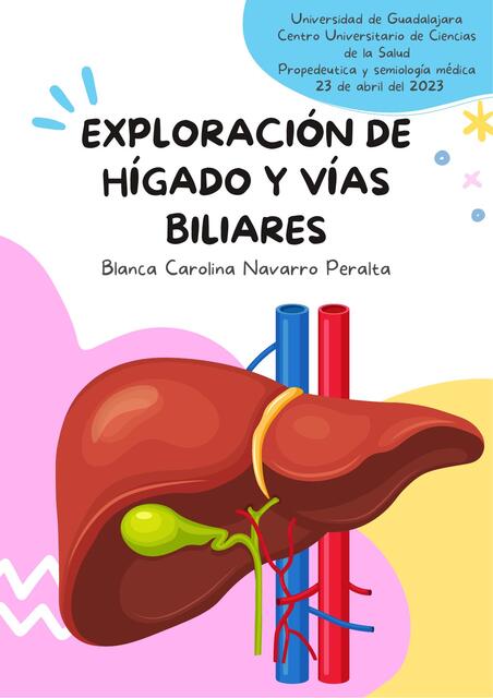 Exploración de hígado y vías biliares