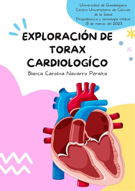 Exploración de torax cardiologico