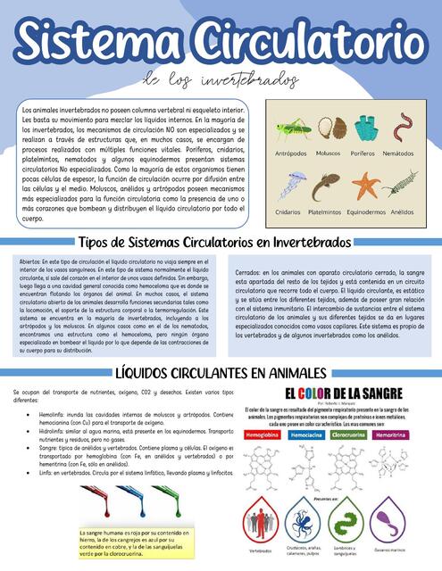 Circulación de Invertebrados