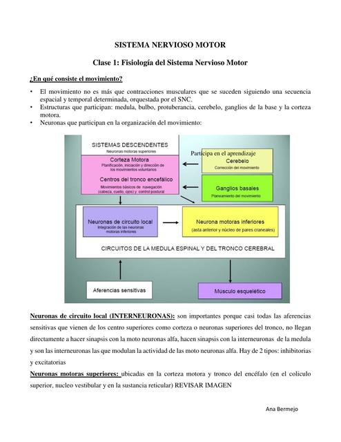 SISTEMA NERVIOSO MOTOR 1