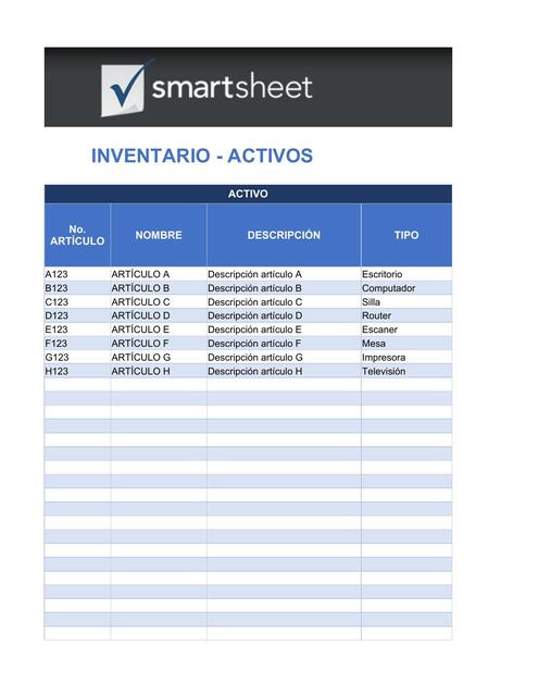 4 Asset Tracking Template ES1