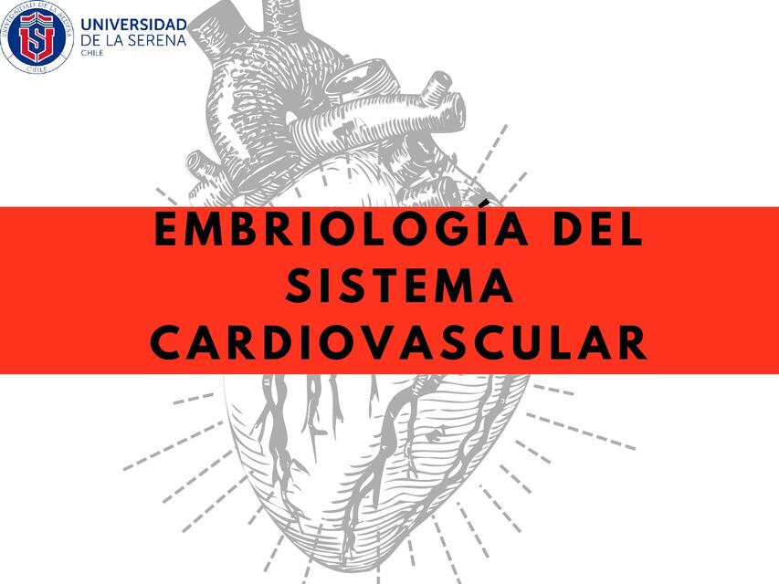 Embriología del Sistema Cardiovascular