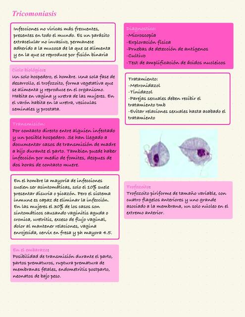 Micro tricomoniasis