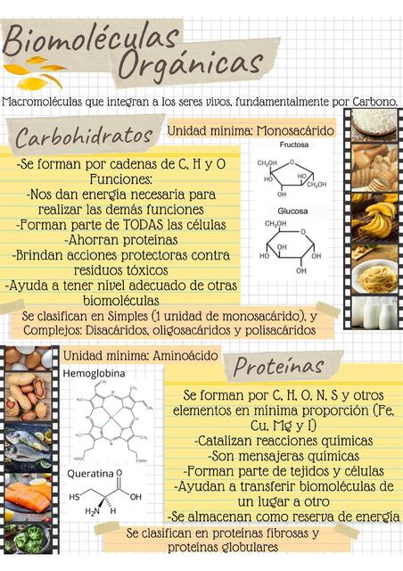 Biomoléculas orgánicas e inorgánicas