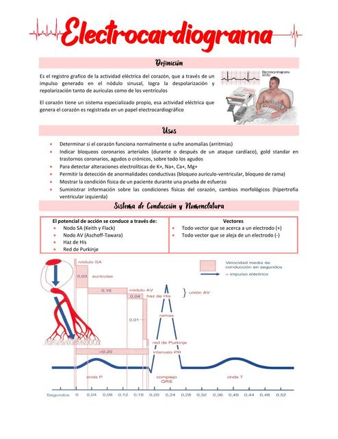 EKG Completo