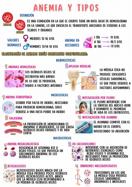 RESUMEN DE ANEMIA Y TIPOS