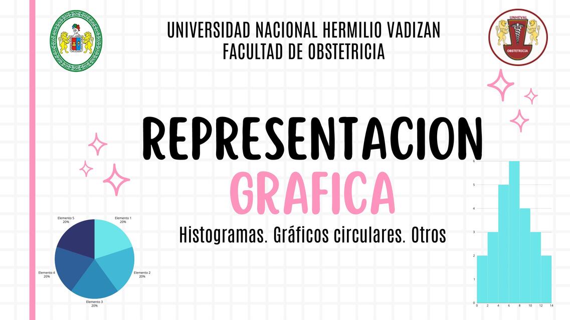 REPRESENTACION GRAFICA HISTOGRAMAS