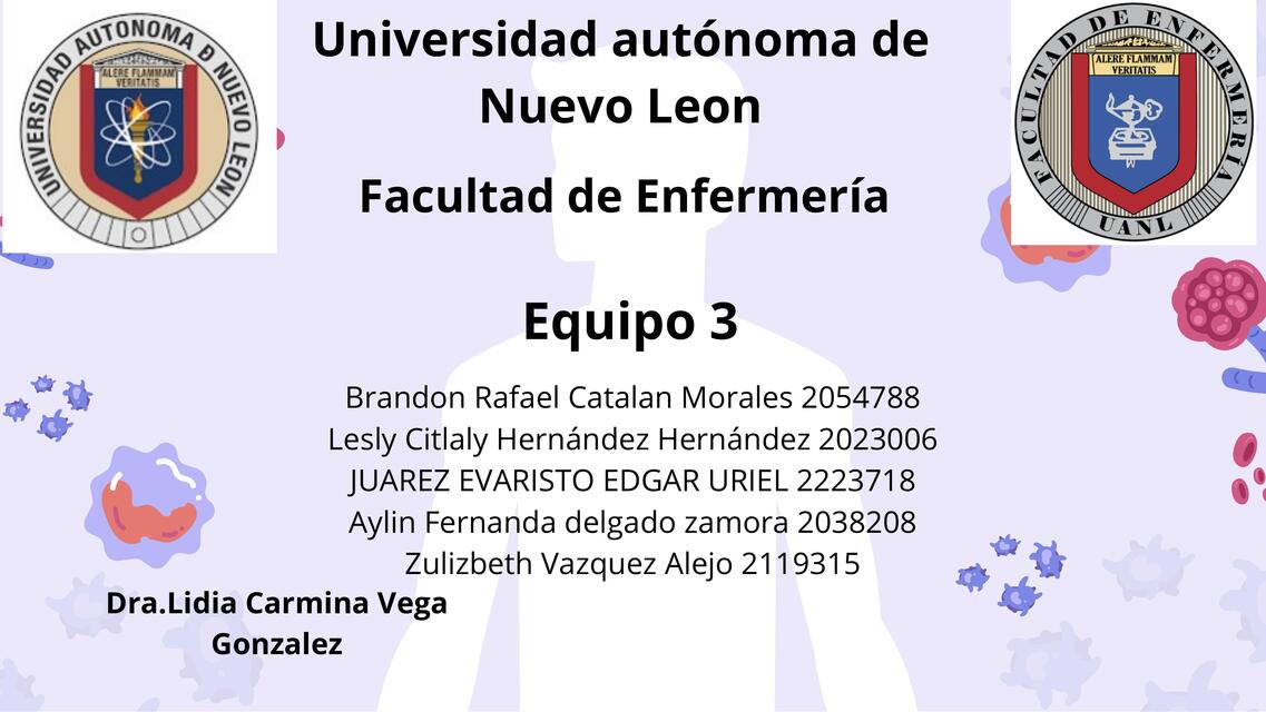 Ev2 Anatomía completa